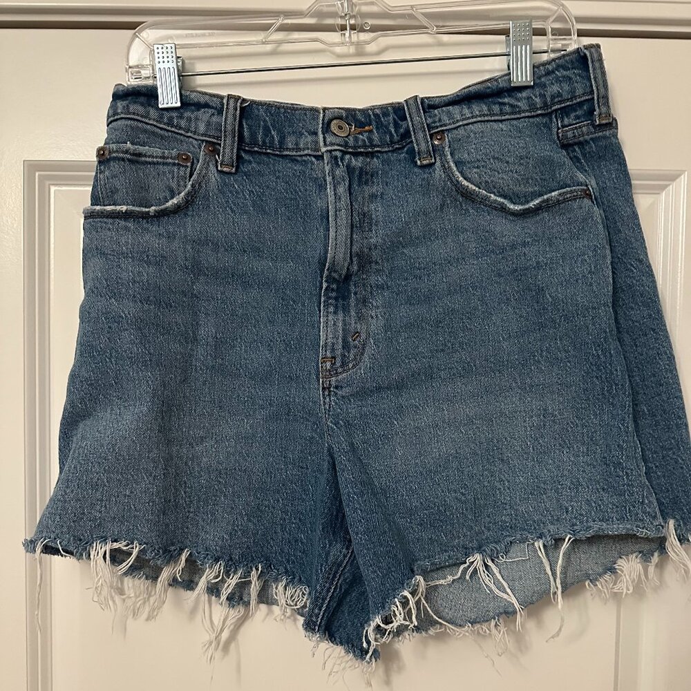 Abercrombie & Fitch The Dad Short - Size 31